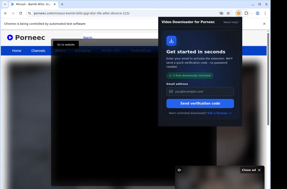 Porneec Video Downloader browser extension screenshot 4